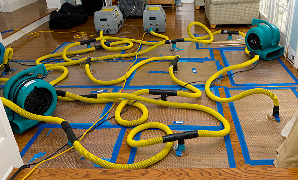 Professional Crawl Space Water Removal technician working in Adams, MN